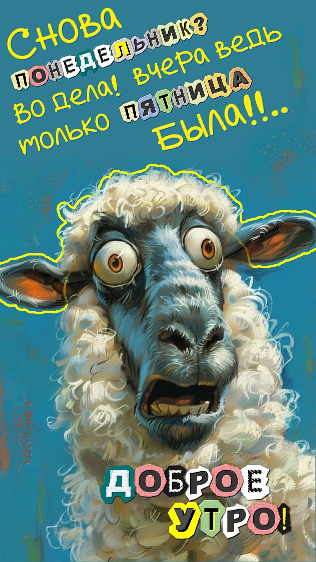 ПОНЕДЕЛЬНИК. ДОБРОЕ УТРО!😉🐑 #ЮМОР