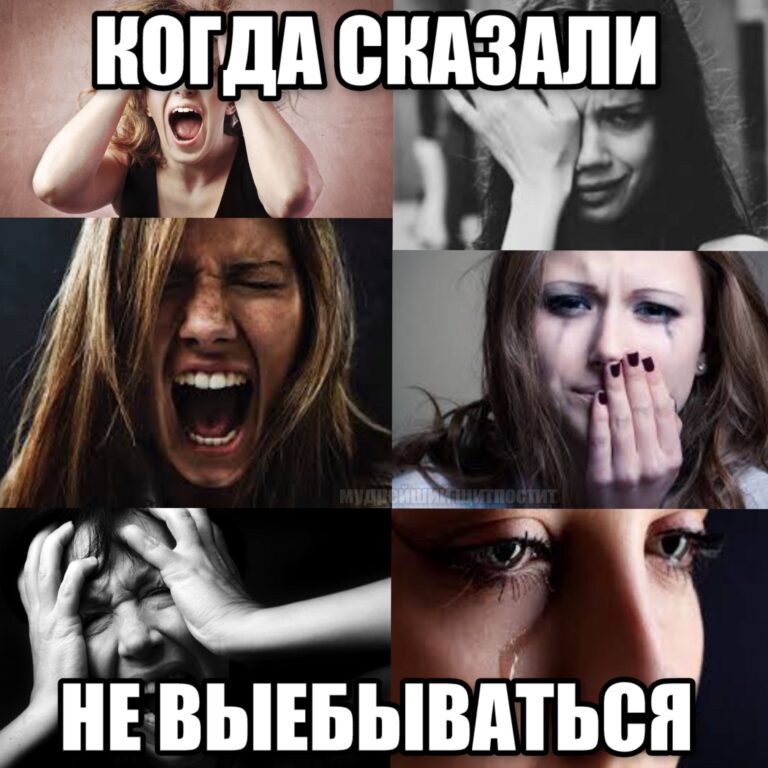 тгк: мудрейший щитпостит