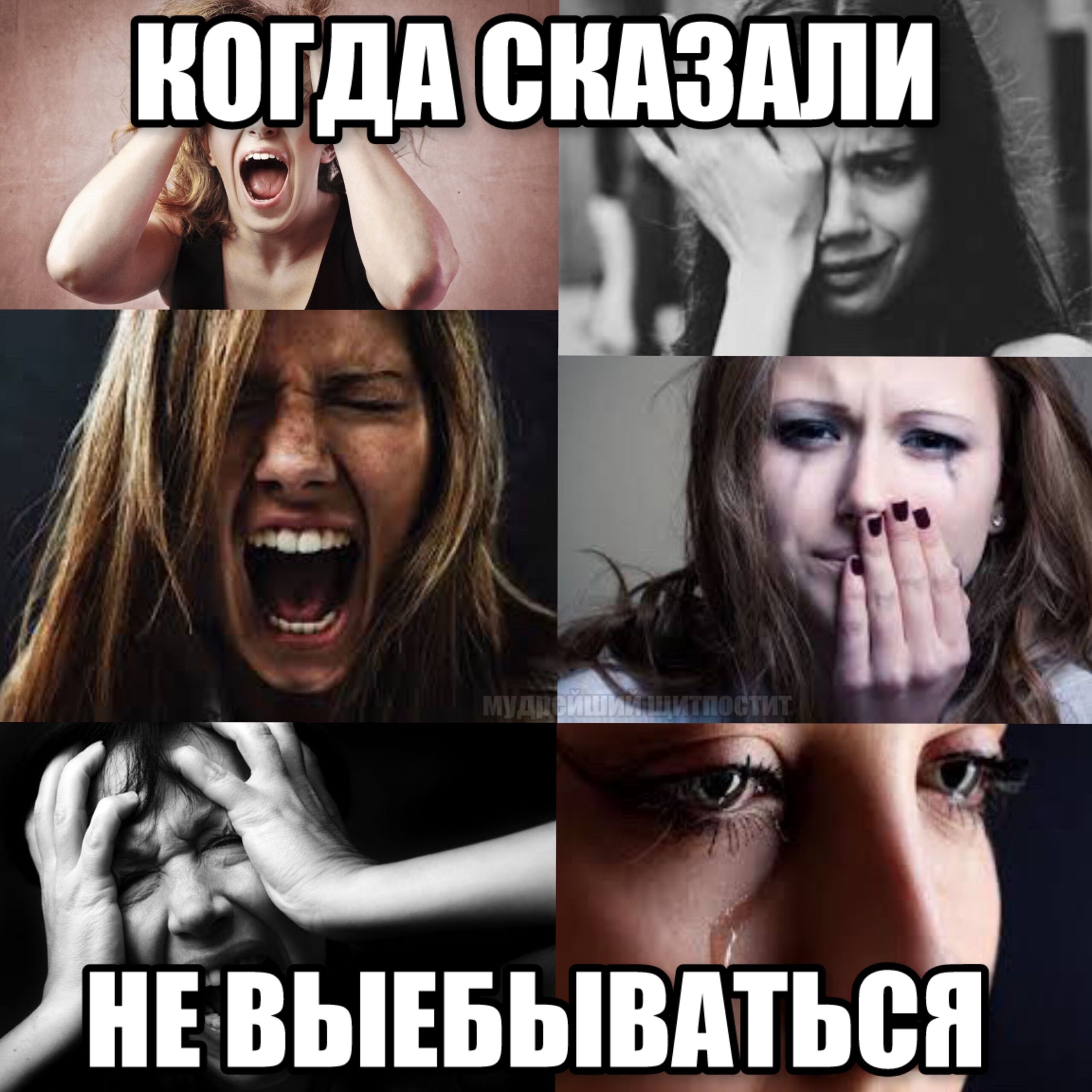 тгк: мудрейший щитпостит