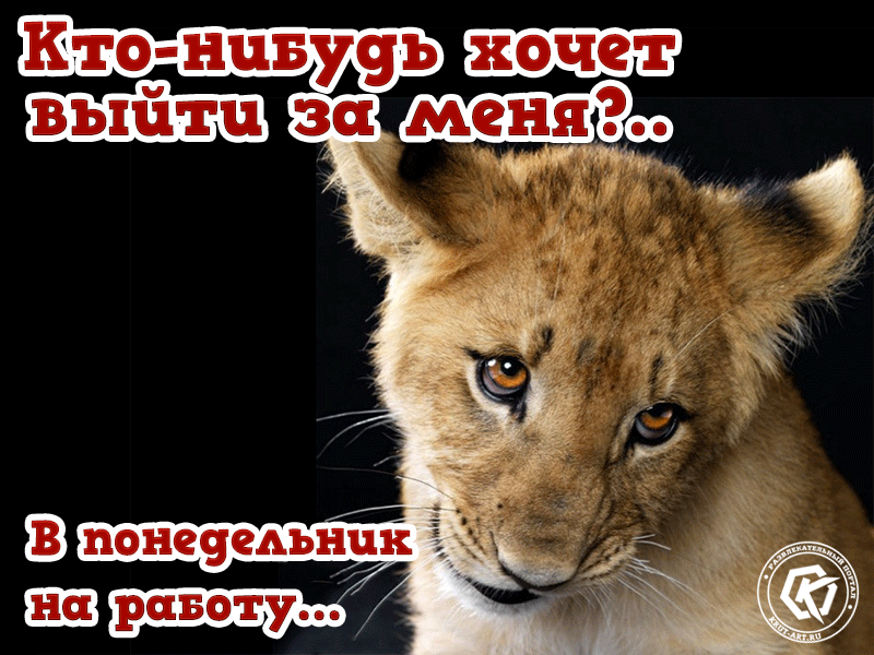 Смешная картинка про понедельник