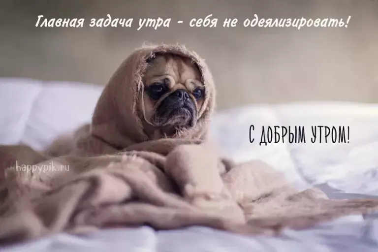 Позитивные картинки Доброе утро 😄 👇 – скачать