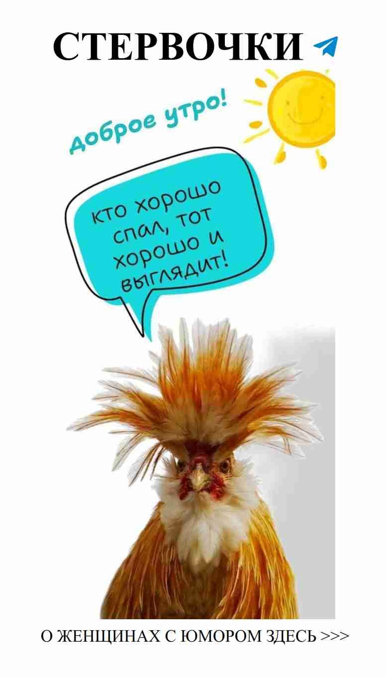 Утренний позитив для влюбленных: смейся и люби