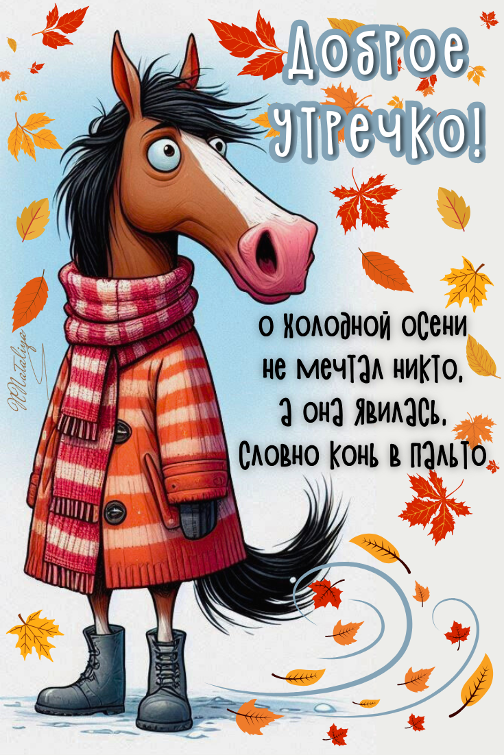 Доброе утречко!