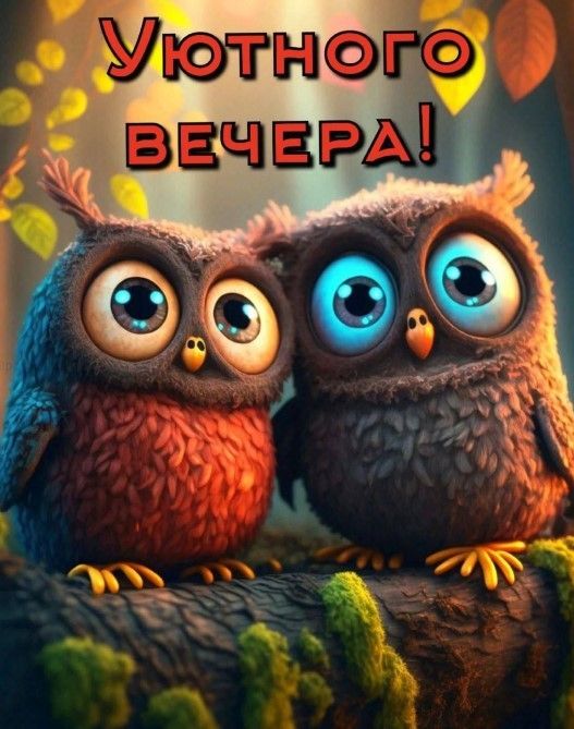 Совята желают тебе уютного вечера!
