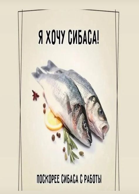 Я ХОЧУ СИБАСА! ПОСКОРЕЕ СИБАСА РАБОТЫ – АйДаПрикол