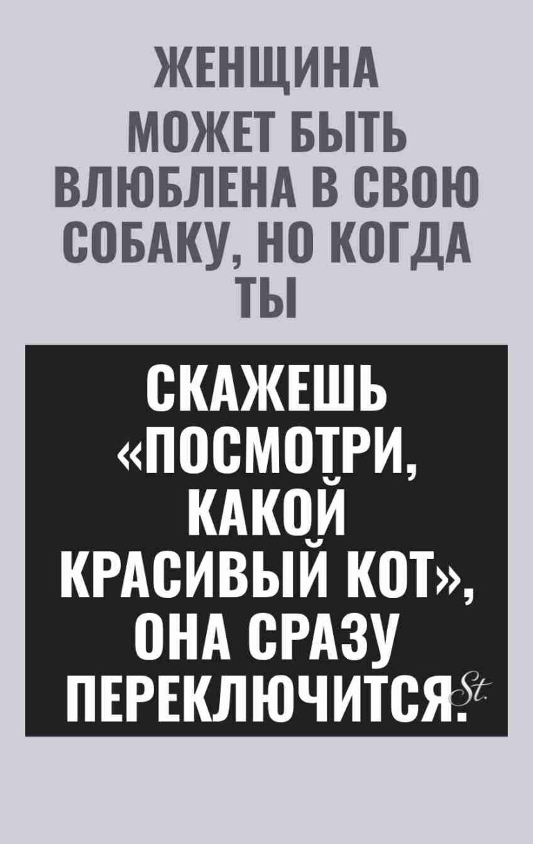 Смешные цитаты о женской логике и мужчинах