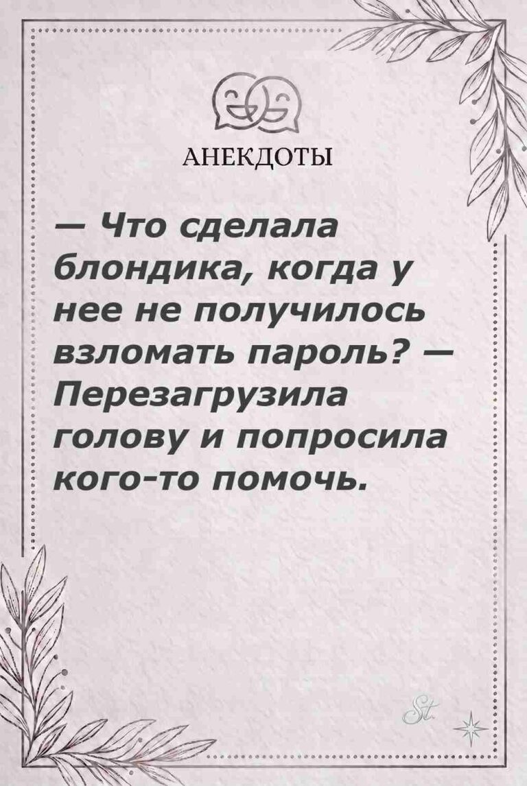 Ироничные мысли о женщинах и жизненная мудрость